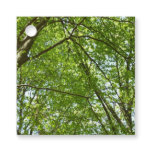 Canopy of Spring Leaves Green Nature Scene Favor Tags