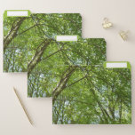 Canopy of Spring Leaves Green Nature Scene File Folder