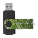 Canopy of Spring Leaves Green Nature Scene Flash Drive