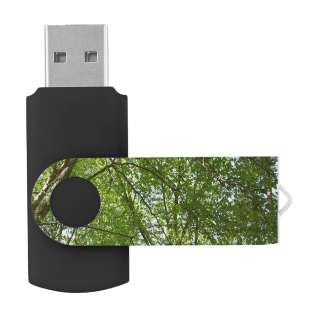 Canopy of Spring Leaves Green Nature Scene Flash Drive (Opened)