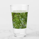 Canopy of Spring Leaves Green Nature Scene Glass