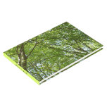 Canopy of Spring Leaves Green Nature Scene Guest Book