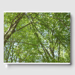 Canopy of Spring Leaves Green Nature Scene Guest Book