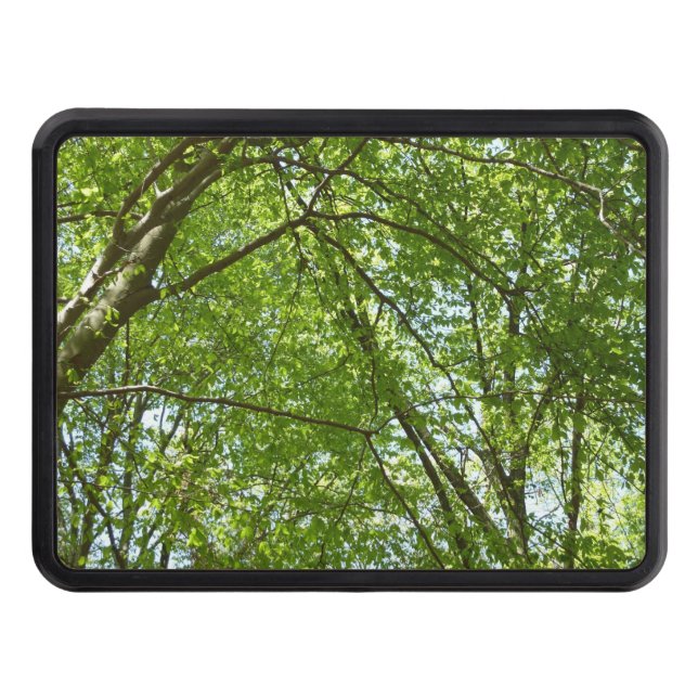 Canopy of Spring Leaves Green Nature Scene Hitch Cover (Front)