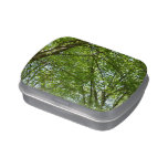 Canopy of Spring Leaves Green Nature Scene Jelly Belly Candy Tin
