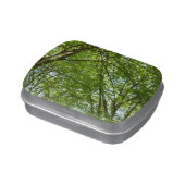 Canopy of Spring Leaves Green Nature Scene Jelly Belly Candy Tin (Side)