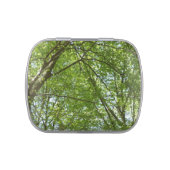 Canopy of Spring Leaves Green Nature Scene Jelly Belly Candy Tin (Top)
