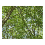 Canopy of Spring Leaves Green Nature Scene Jigsaw Puzzle