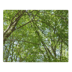 Canopy of Spring Leaves Green Nature Scene Jigsaw Puzzle
