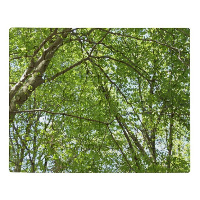 Canopy of Spring Leaves Green Nature Scene Jigsaw Puzzle (Puzzle Horizontal)