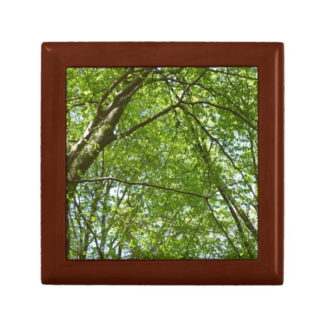 Canopy of Spring Leaves Green Nature Scene Keepsake Box (Front)
