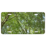 Canopy of Spring Leaves Green Nature Scene License Plate