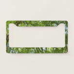 Canopy of Spring Leaves Green Nature Scene License Plate Frame