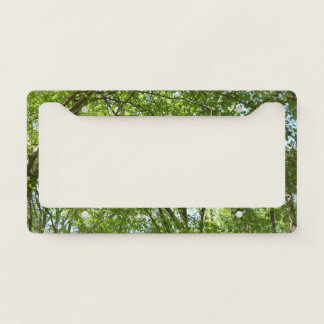 Canopy of Spring Leaves Green Nature Scene License Plate Frame