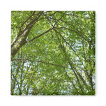 Canopy of Spring Leaves Green Nature Scene Magnet