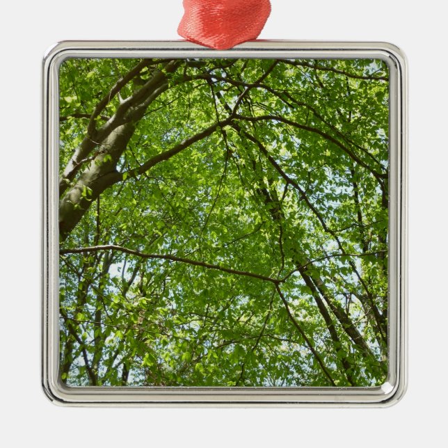 Canopy of Spring Leaves Green Nature Scene Metal Ornament (Front)