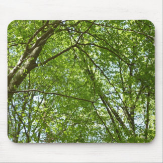 Canopy of Spring Leaves Green Nature Scene Mouse Pad