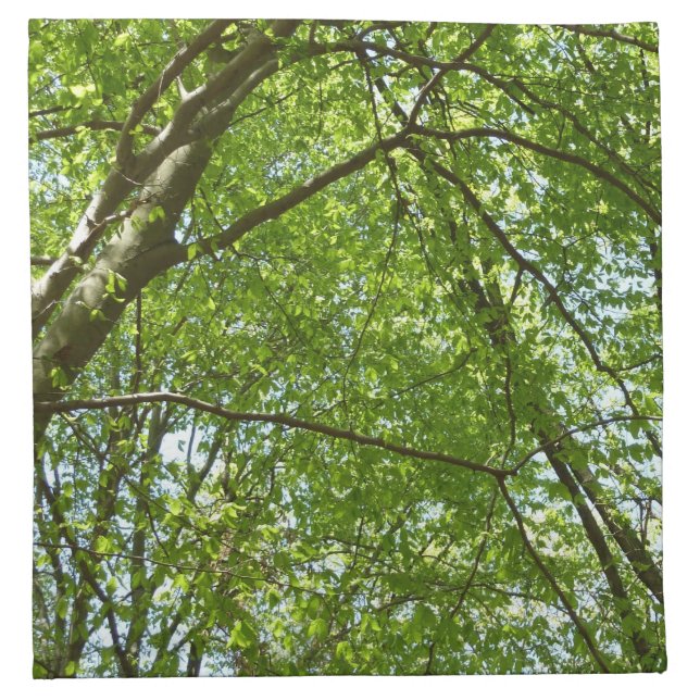 Canopy of Spring Leaves Green Nature Scene Napkin (Front)