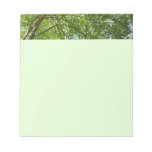 Canopy of Spring Leaves Green Nature Scene Notepad