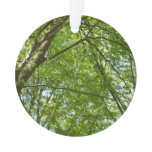 Canopy of Spring Leaves Green Nature Scene Ornament