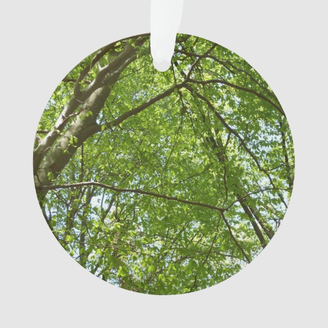 Canopy of Spring Leaves Green Nature Scene Ornament (Front)