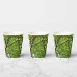 Canopy of Spring Leaves Green Nature Scene Paper Cups