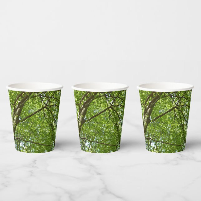 Canopy of Spring Leaves Green Nature Scene Paper Cups (Multi)