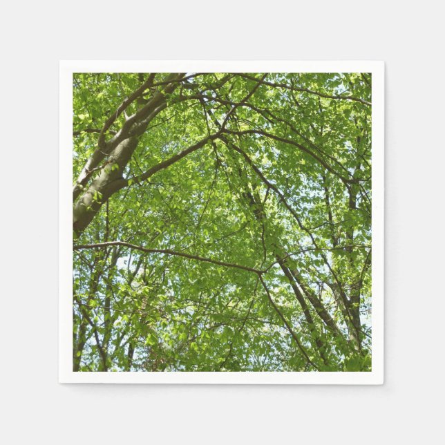 Canopy of Spring Leaves Green Nature Scene Paper Napkins (Front)