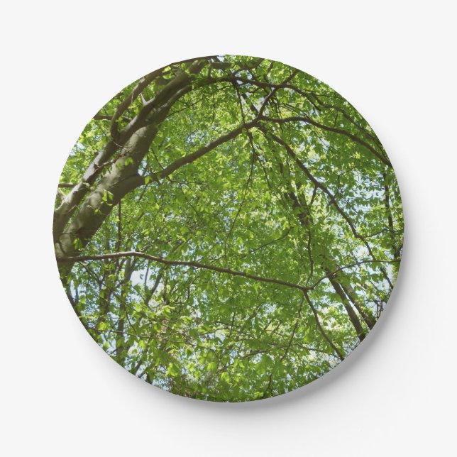 Canopy of Spring Leaves Green Nature Scene Paper Plates (Front)