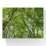 Canopy of Spring Leaves Green Nature Scene Paperweight
