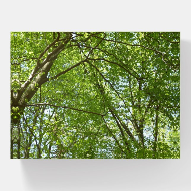 Canopy of Spring Leaves Green Nature Scene Paperweight (Front)