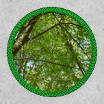Canopy of Spring Leaves Green Nature Scene Patch