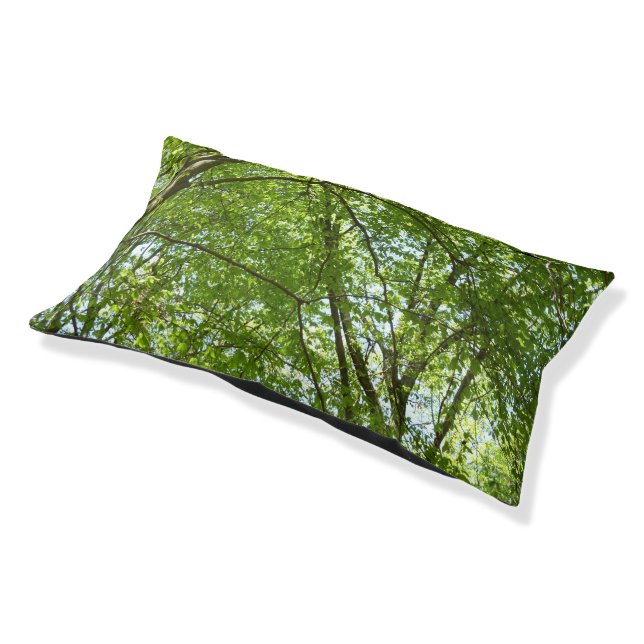 Canopy of Spring Leaves Green Nature Scene Pet Bed (Angled)