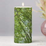 Canopy of Spring Leaves Green Nature Scene Pillar Candle