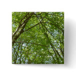 Canopy of Spring Leaves Green Nature Scene Pinback Button