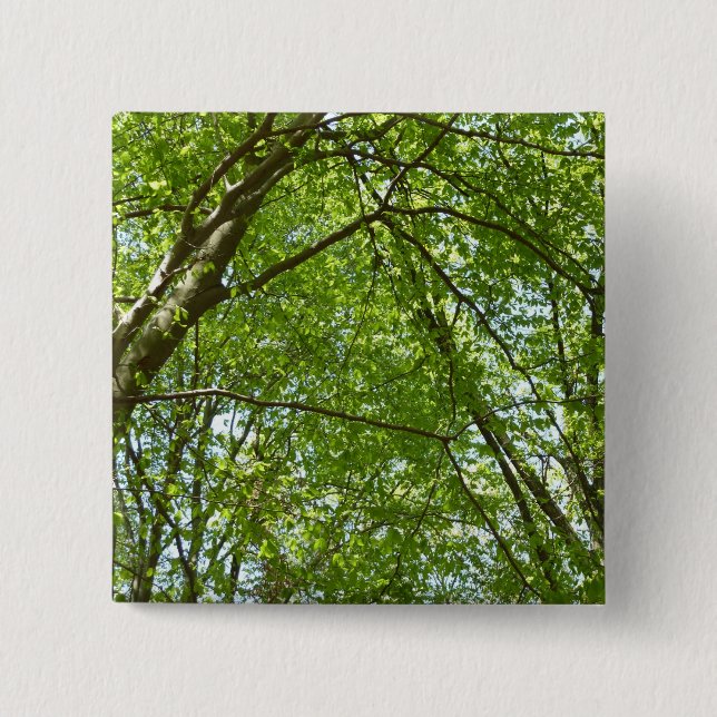 Canopy of Spring Leaves Green Nature Scene Pinback Button (Front)