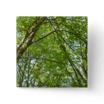 Canopy of Spring Leaves Green Nature Scene Pinback Button