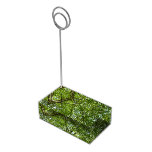 Canopy of Spring Leaves Green Nature Scene Place Card Holder
