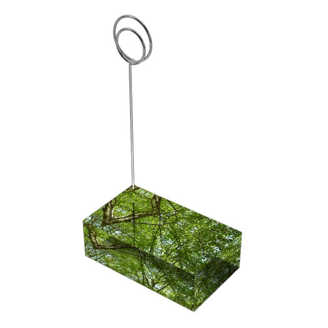 Canopy of Spring Leaves Green Nature Scene Place Card Holder (Corner)