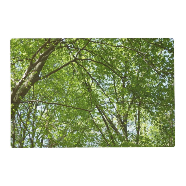Canopy of Spring Leaves Green Nature Scene Placemat (Front)