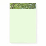 Canopy of Spring Leaves Green Nature Scene Post-it Notes