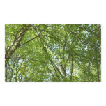 Canopy of Spring Leaves Green Nature Scene Rectangular Sticker