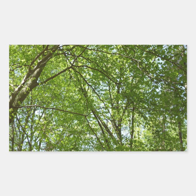 Canopy of Spring Leaves Green Nature Scene Rectangular Sticker (Front)