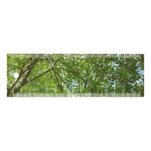 Canopy of Spring Leaves Green Nature Scene Ruler