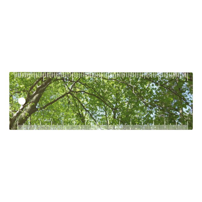 Canopy of Spring Leaves Green Nature Scene Ruler (Front)