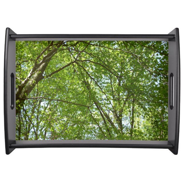 Canopy of Spring Leaves Green Nature Scene Serving Tray (Front)