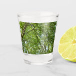 Canopy of Spring Leaves Green Nature Scene Shot Glass