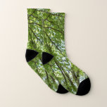 Canopy of Spring Leaves Green Nature Scene Socks