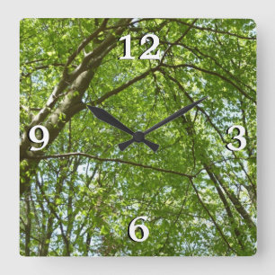 Canopy of Spring Leaves Green Nature Scene Square Wall Clock
