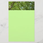 Canopy of Spring Leaves Green Nature Scene Stationery